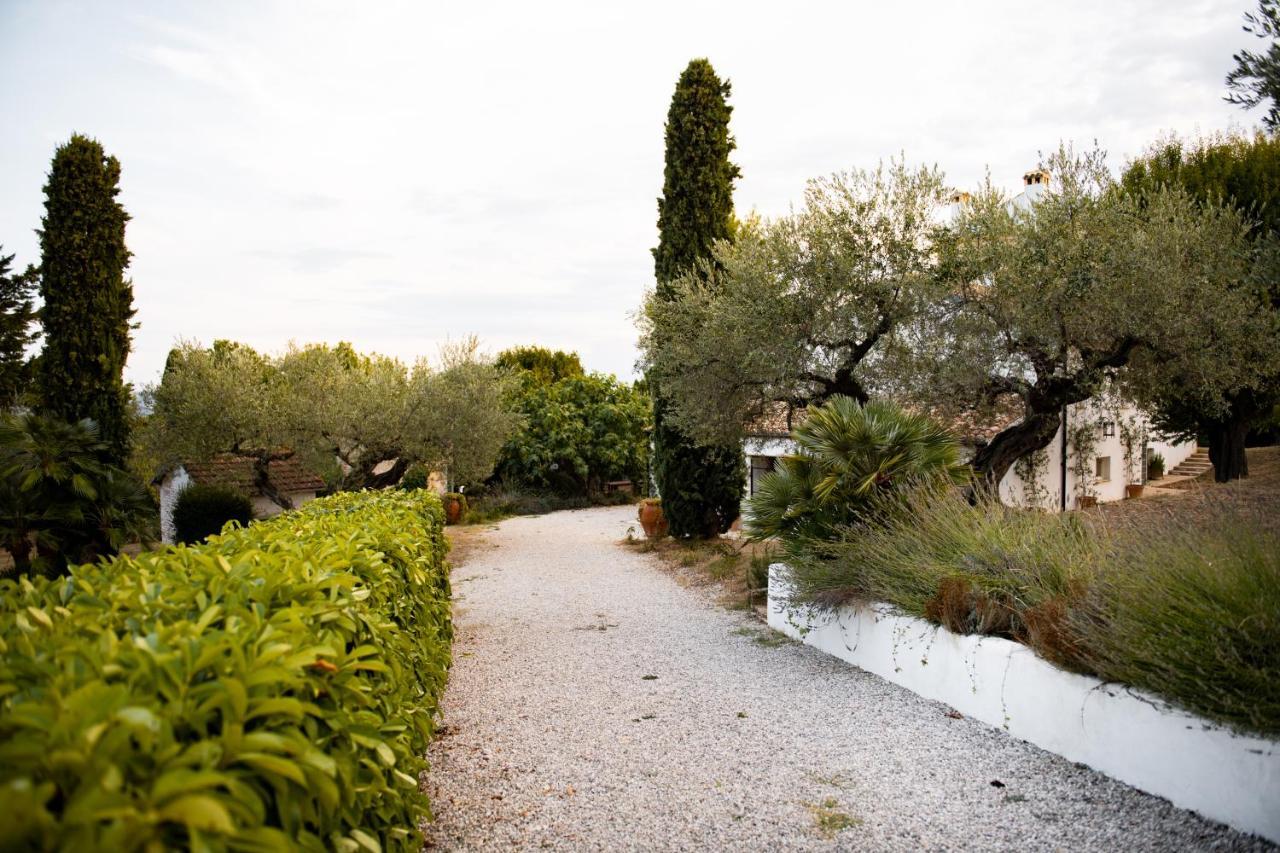 Casale Delle Lavande Città Sant'Angelo Eksteriør billede