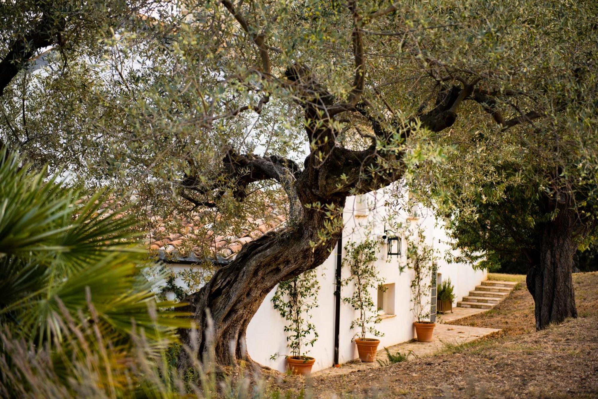 Casale Delle Lavande Città Sant'Angelo Eksteriør billede